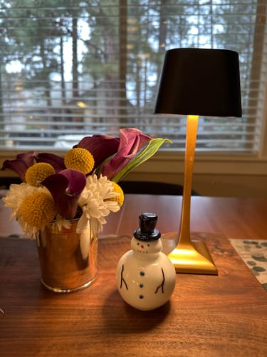 Customer photo review of ISEO: Italian Designer Lamp