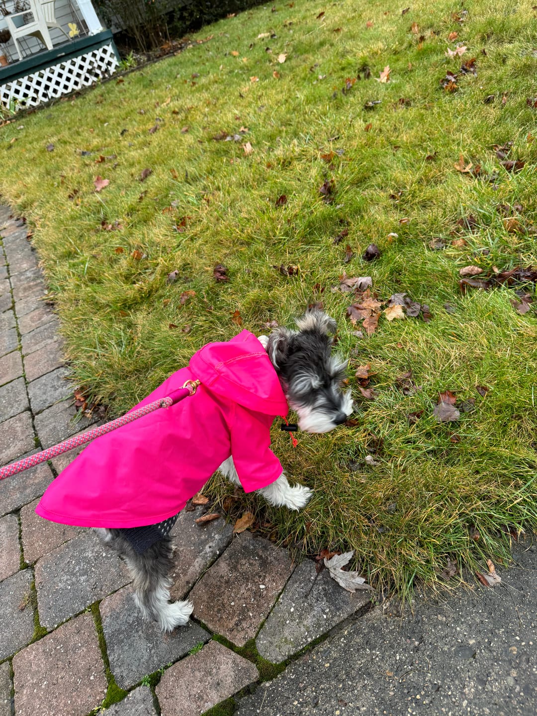 Customer photo review of Nylon Rainbreaker