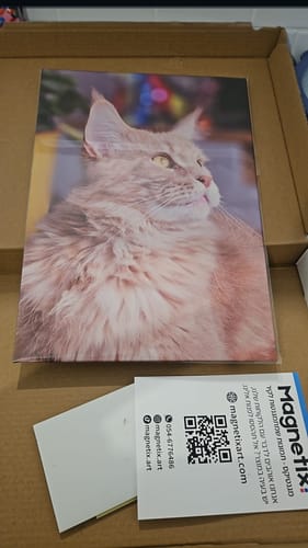 Customer photo review of יצירת פוסטר מתמגנט מתמונה