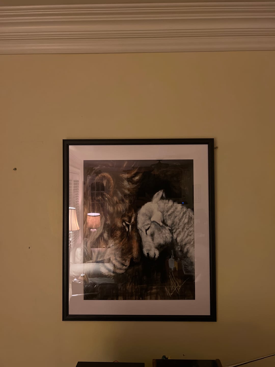 Customer photo review of Compassion of a King