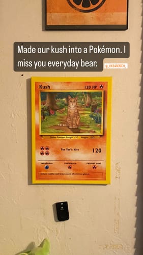 Customer photo review of PokePet Canvas
