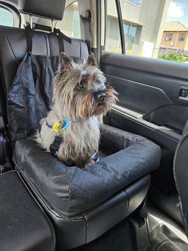 Customer photo review of Car Seat Cover