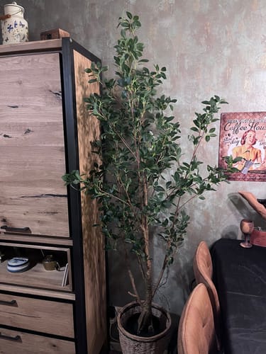 Customer photo review of Ficus Kunstplant 180cm