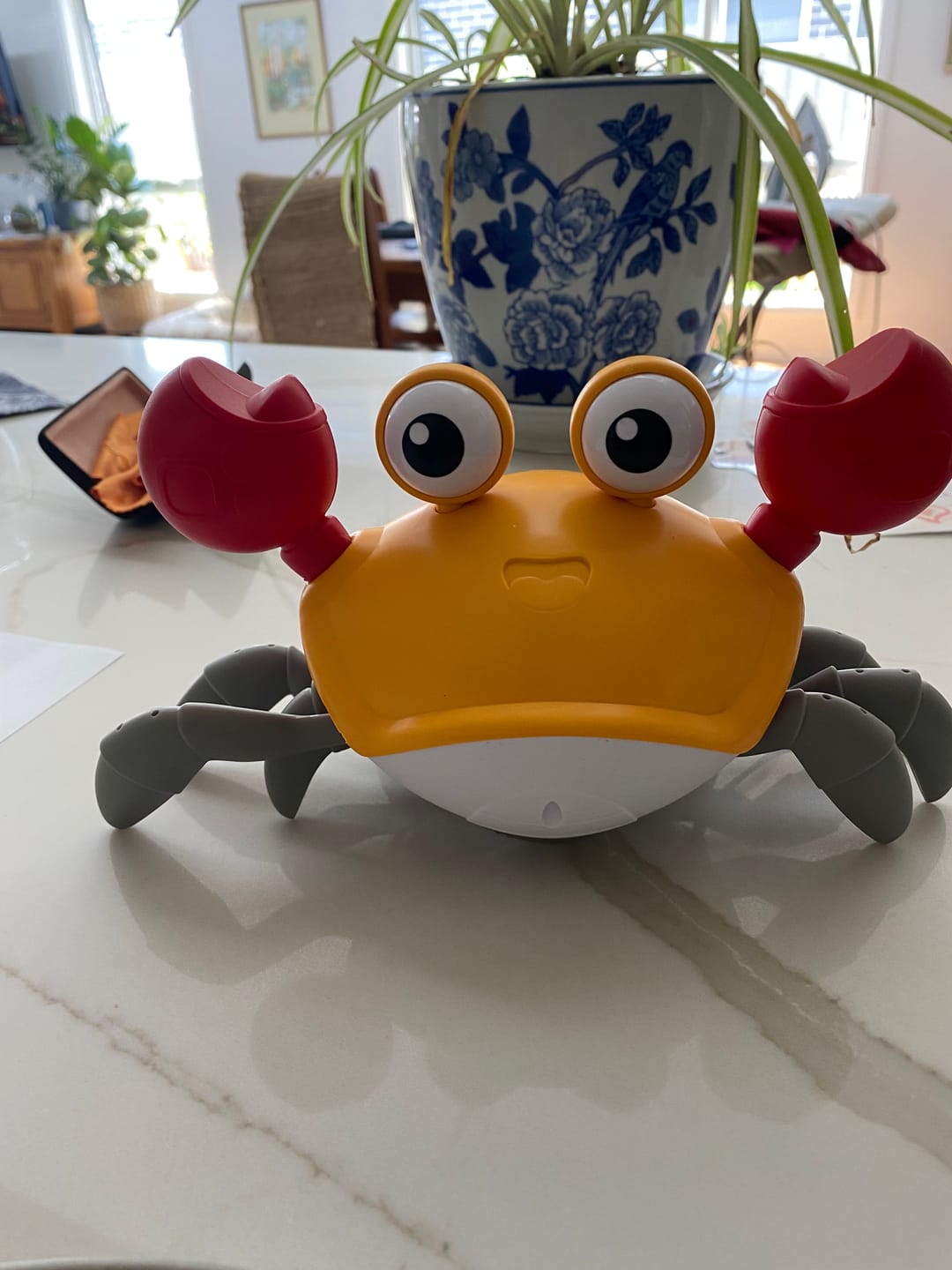 Customer photo review of The Crawly Crab™