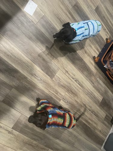 Customer photo review of Playa Poncho - Surprise Color