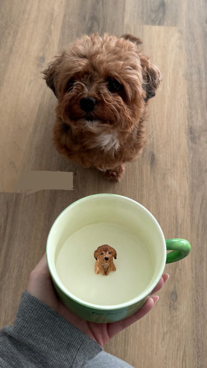 Customer photo review of Handmade Custom Pet's Figure Ceramic Mug