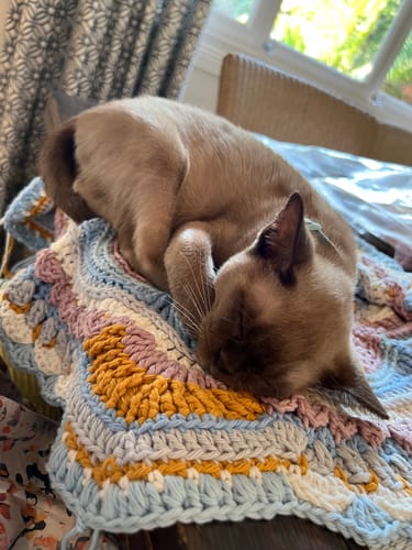 Customer photo review of Finch 10 ply Cotton