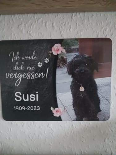 Customer photo review of Hunde Gedenktafel mit Foto & Spruch (UV- & Wetterfest)