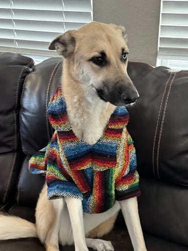 Customer photo review of Playa Poncho - Surprise Color