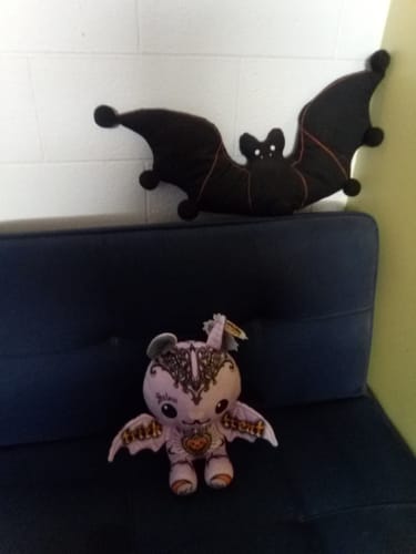 Customer photo review of Frankie the Modeling Bat