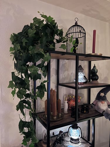 Customer photo review of Hedera Kunst Hangplant 110cm