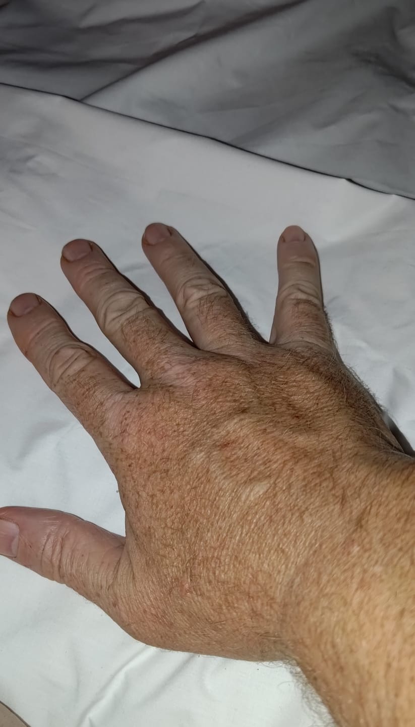 Customer photo review of Percale Down Proof 230TC
