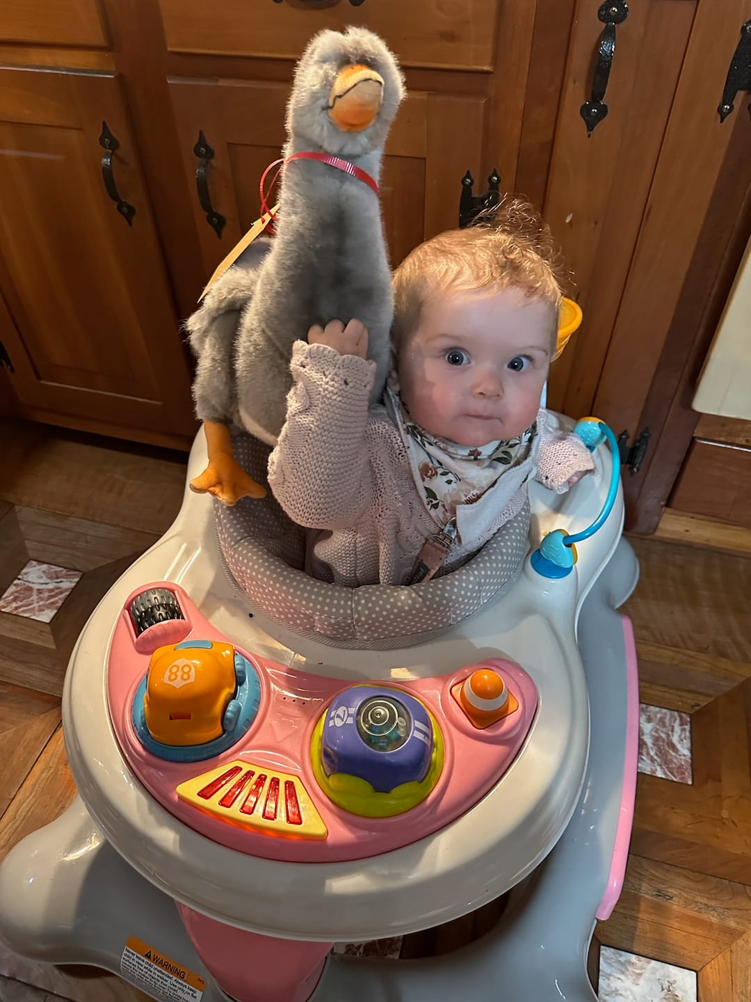 Customer photo review of Steiff Tapsy Goose EAN 074073