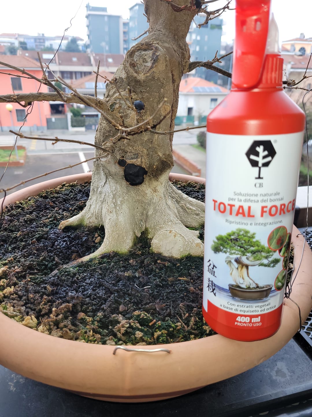 Customer photo review of TOTAL FORCE CB® X2