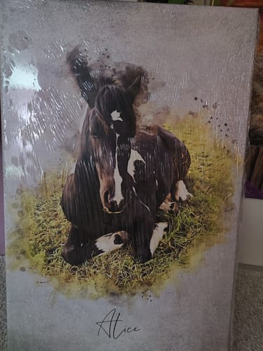 Customer photo review of Dein Pferd als Aquarell-Portrait | Geschenk für Pferdeliebhaber