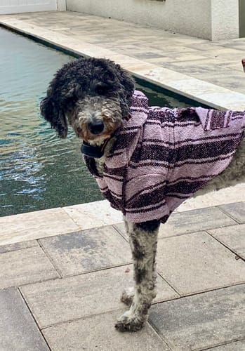 Customer photo review of Playa Poncho - Surprise Color