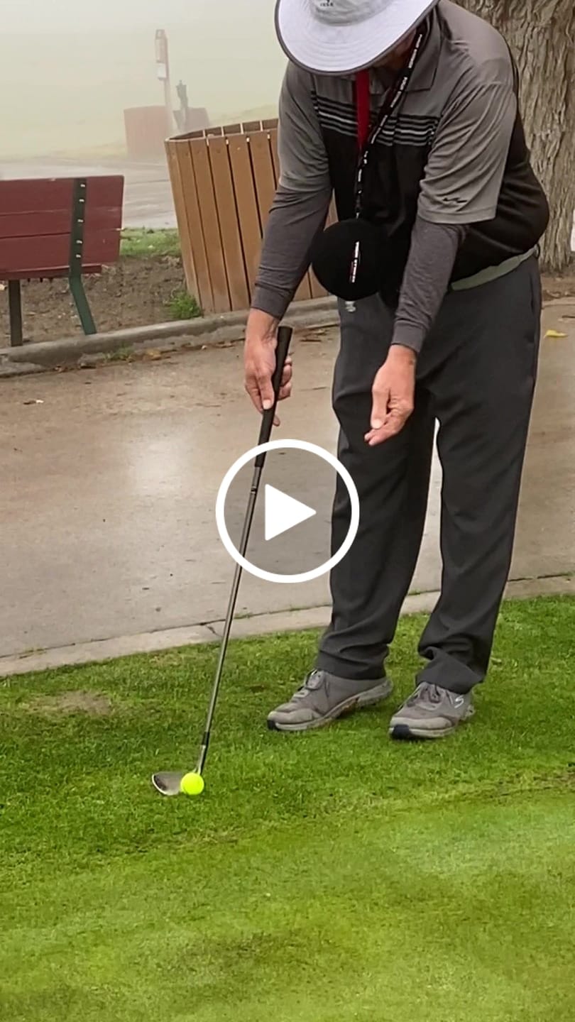 Customer video review of Smart Ball
