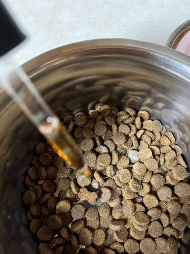 Customer photo review of Medium Wild Salmon CBD Oil - 350 MG : 1 OZ : Healthy Hips & Joints Care Formula CBD for dogs and cats