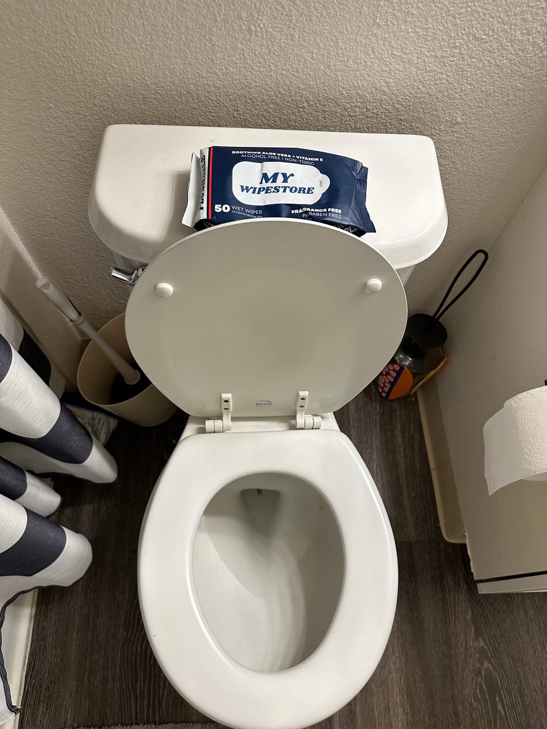 Customer photo review of My Wipes Premium Flushable Wipes
