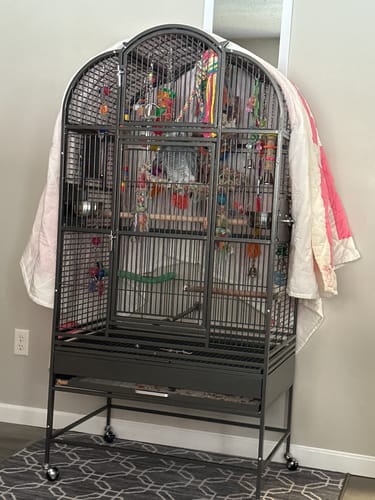 Customer photo review of *OPEN BOX* Kings Cages SLT 3223 64X32X23 BLACK/SILVER