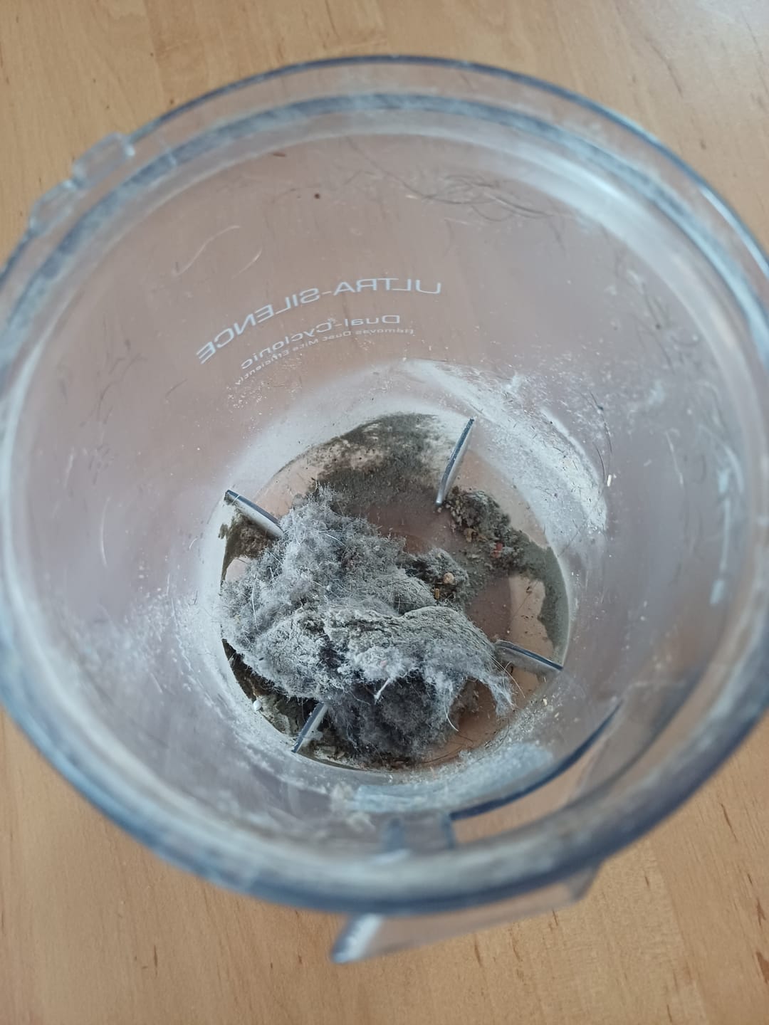 Customer photo review of JV35 UV Anti-Mite Vacuum Cleaner