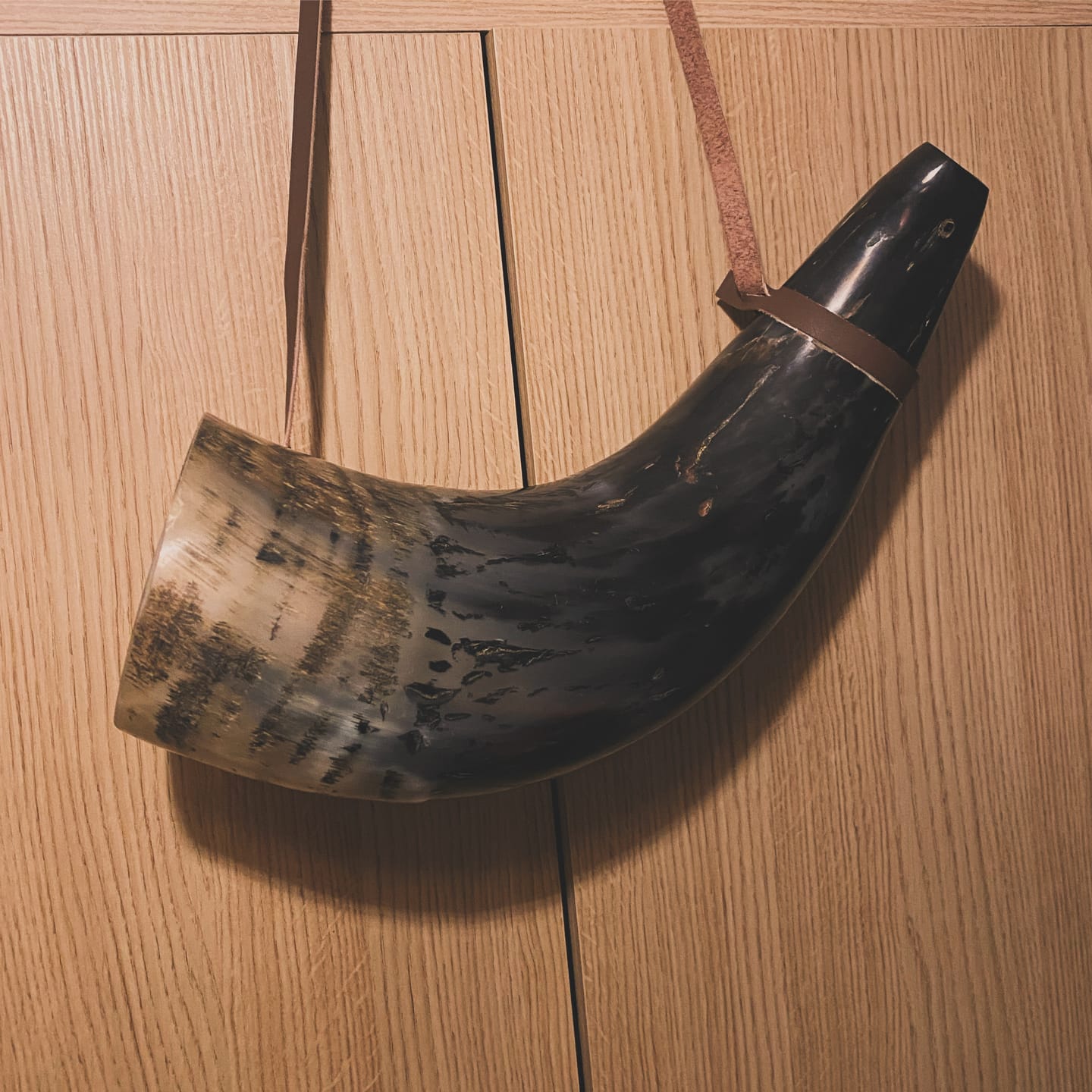 Customer photo review of War Horn - Extra Large