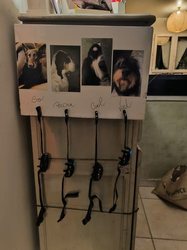 Customer photo review of Collier Anti Aboiement PuppySafe