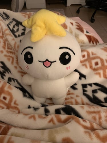 Customer photo review of Ateez Teez-Mon Plushie