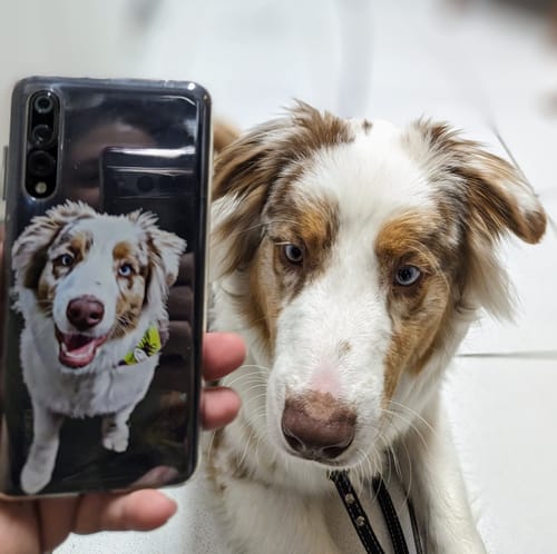 Customer photo review of Custom Pet Phone Case