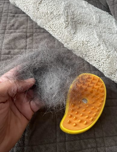 Customer photo review of PetGlo Steam Brush