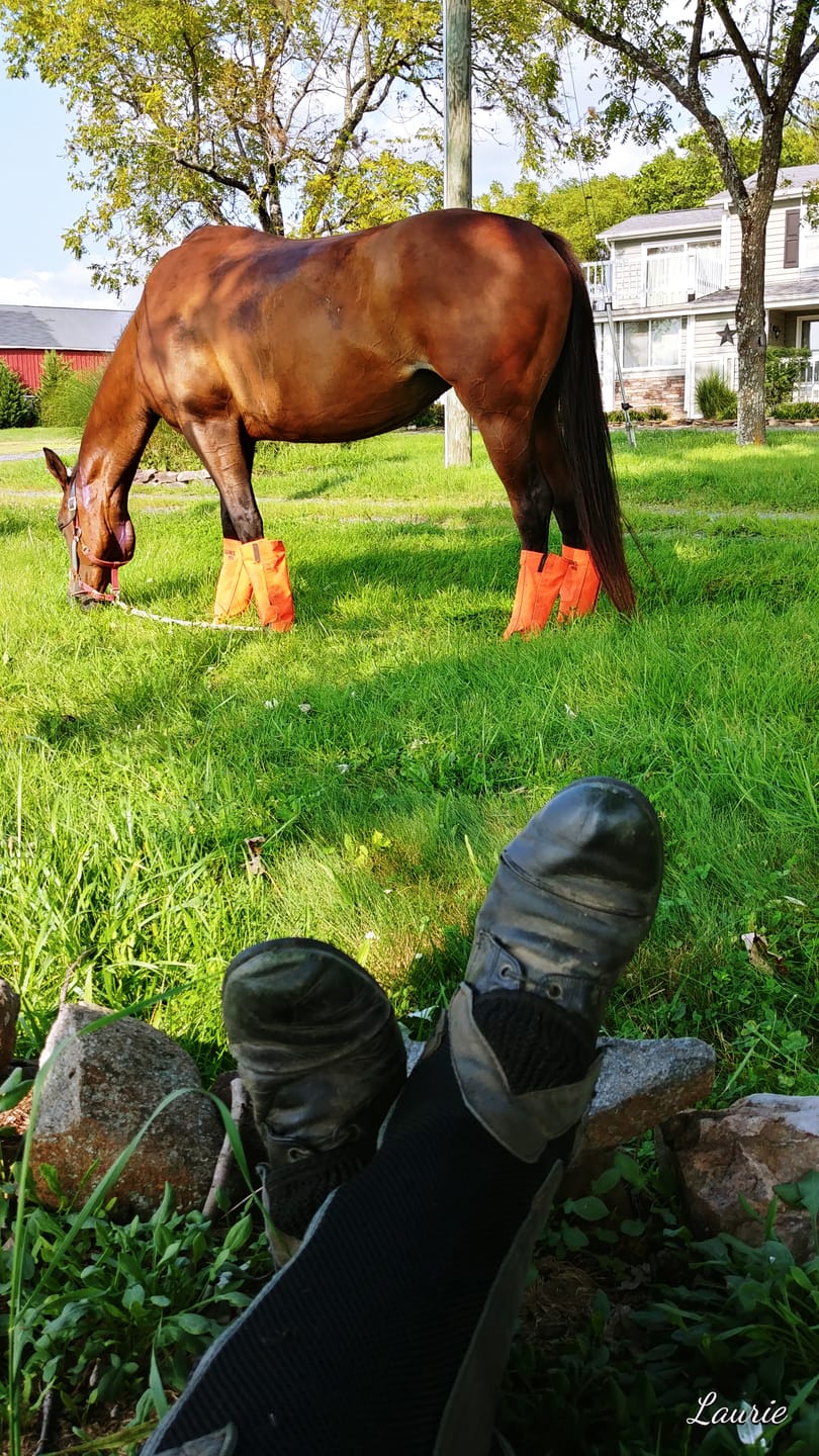 Customer photo review of Aloe Vera Pellets