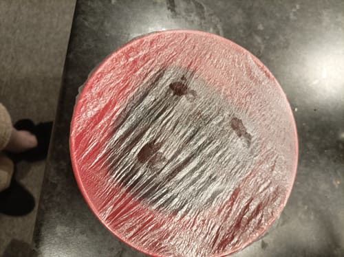 Customer photo review of 🍉Disposable Plastic Wrap Cover/100pcs