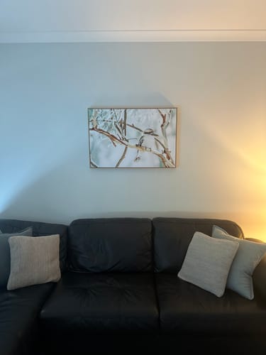 Customer photo review of Bush Kookaburra | Framed Canvas Art Print