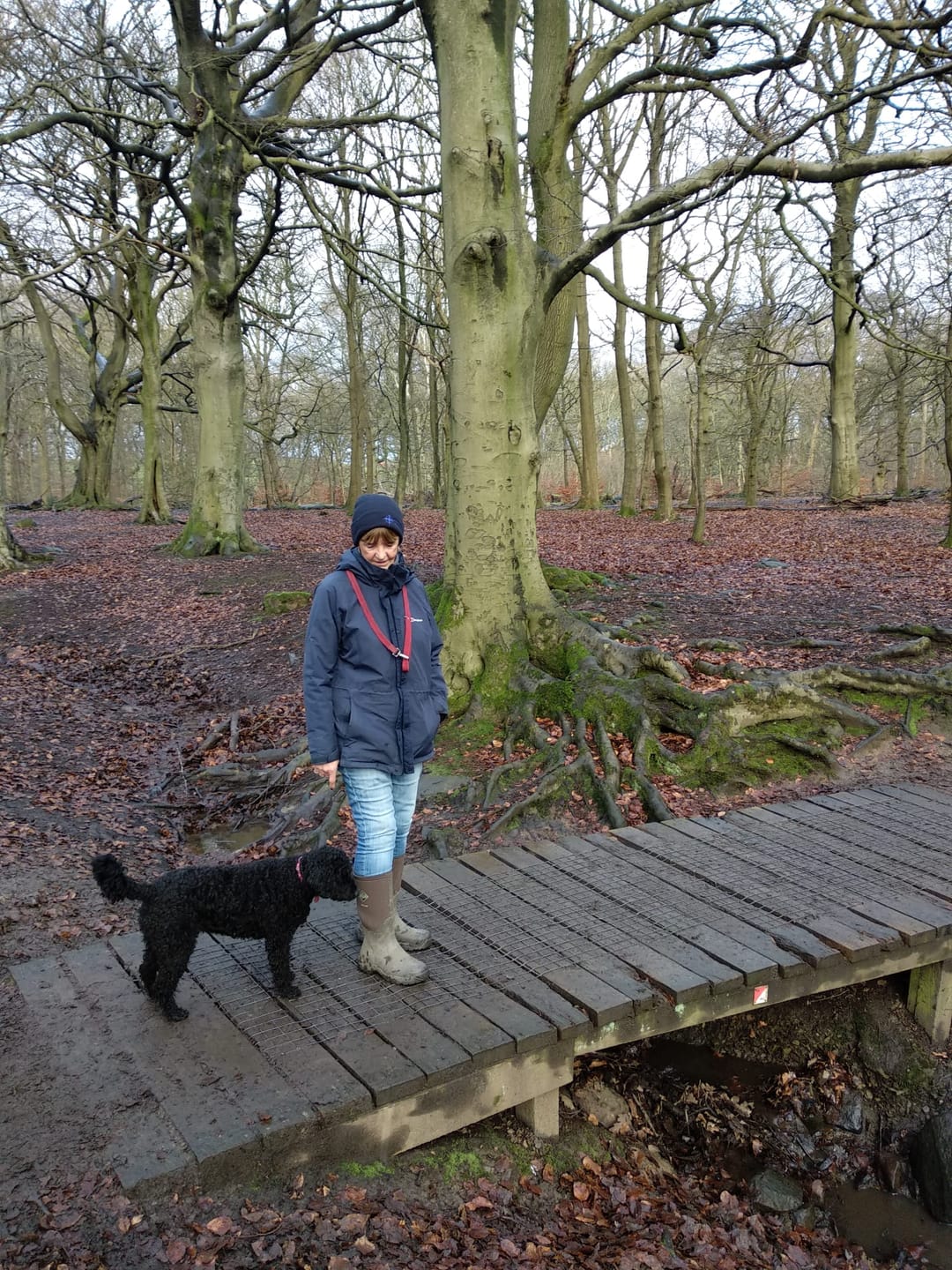 Customer photo review of Women's Wetland Tall Boots