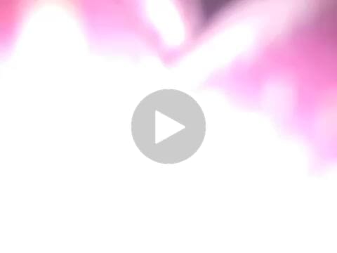 Customer video review of PALM ANGELS HOODIE