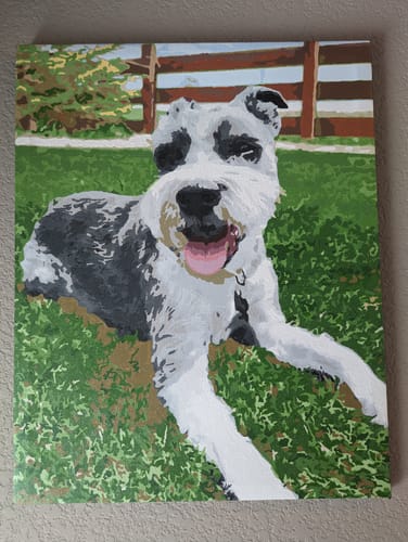 Customer photo review of Custom Paint By Numbers Kit