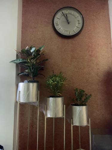 Customer photo review of UnitedCrafts Modern Big Tall Metal Pots Stands for Home Decoration (Set of 3)
