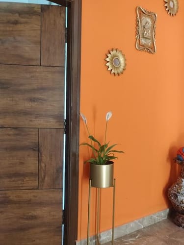 Customer photo review of UnitedCrafts Modern Big Tall Metal Pots Stands for Home Decoration (Set of 3)