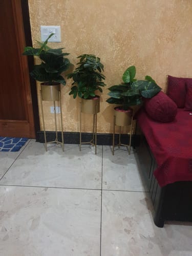 Customer photo review of UnitedCrafts Modern Big Tall Metal Pots Stands for Home Decoration (Set of 3)