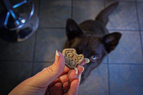 Customer photo review of All Natural Baked Biscuits - 10 oz