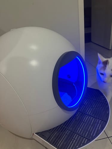 Customer photo review of PaWz Automatic Smart Cat Litter Box - Wifi