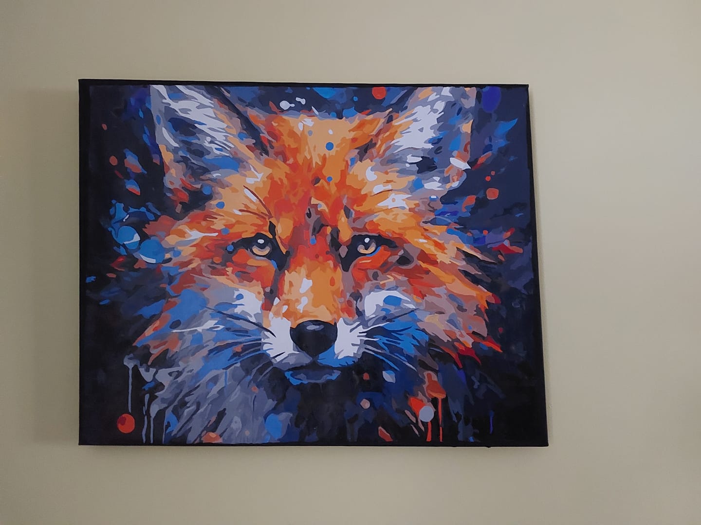 Customer photo review of Inquisitive Fox