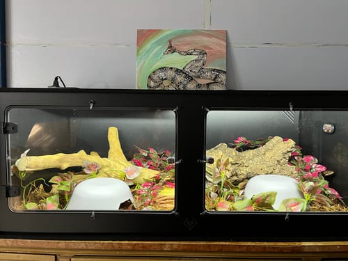Customer photo review of XT4 BIO18 (48Lx24Dx18H) - STACKABLE