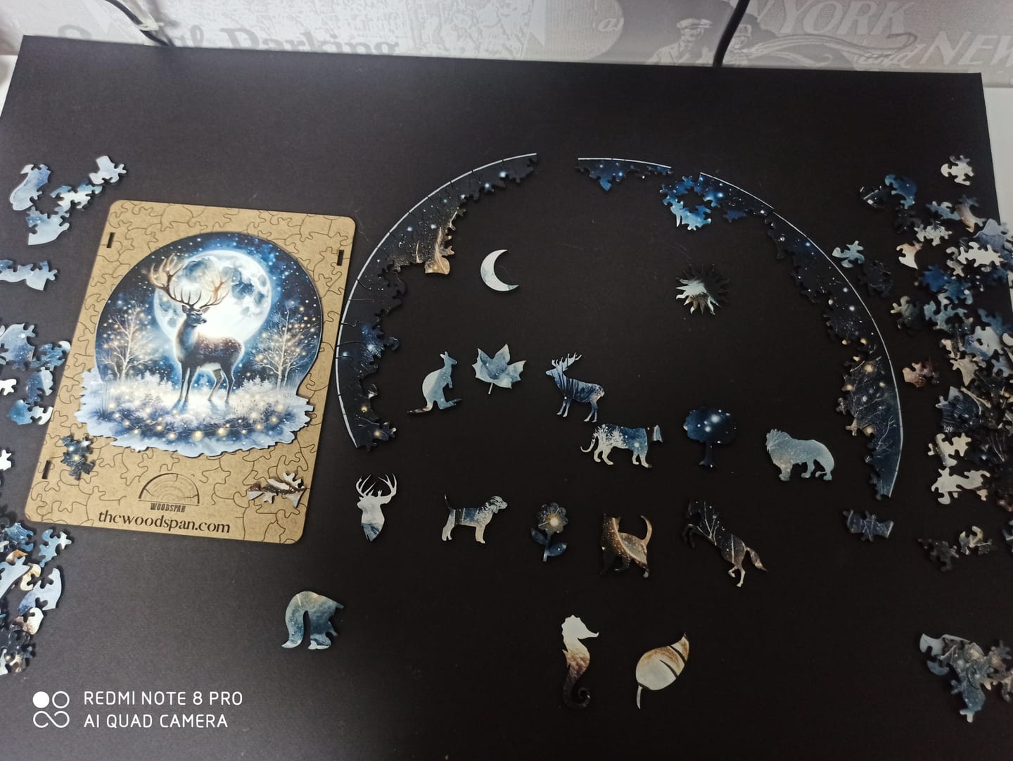 Customer photo review of The Aurora - Gecenin Işıltısı