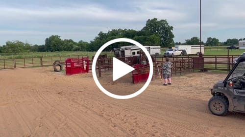 Customer video review of OptiWize Collagen +Plus Horse Joint Supplement
