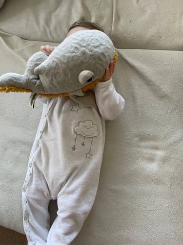 Customer photo review of The Mini Whale