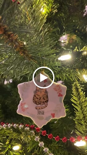 Customer video review of Personalized Cat Ornament