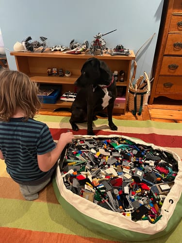 Customer photo review of Large Toy Storage Bag - Sage Green (Organic Canvas)