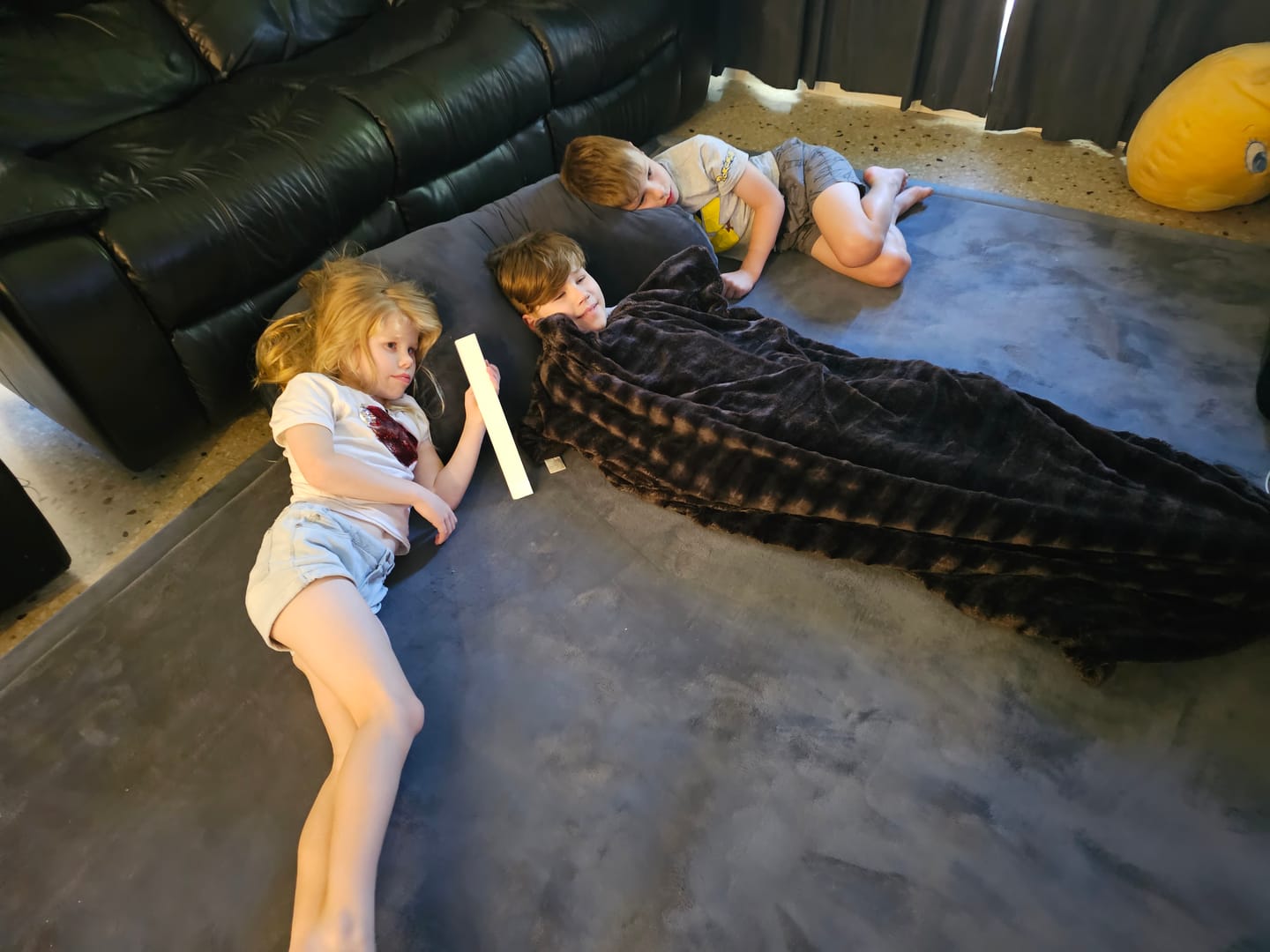Customer photo review of The Big Soft Pillow