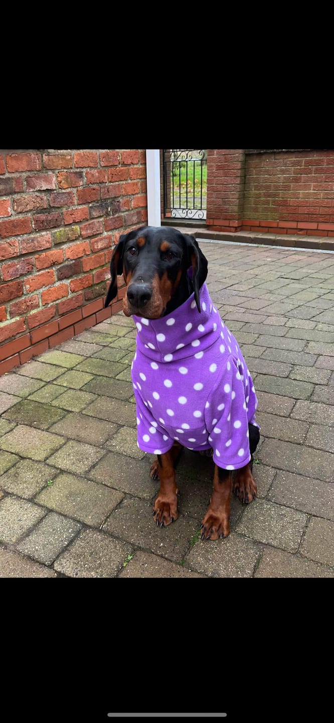 Customer photo review of White Polka Dot Anti Pill Polar Fleece Fabric